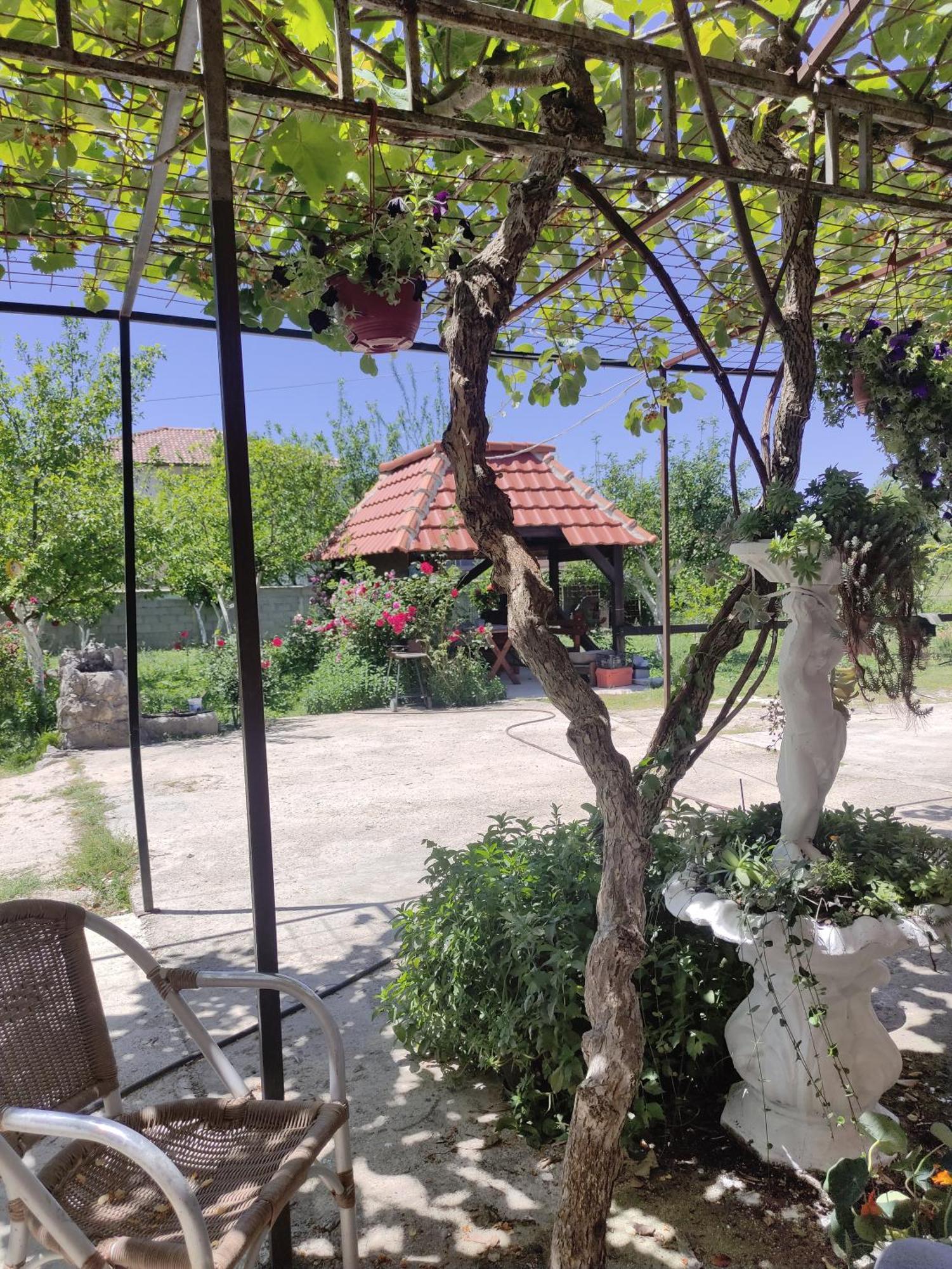 Green Valley Kotor Exterior photo