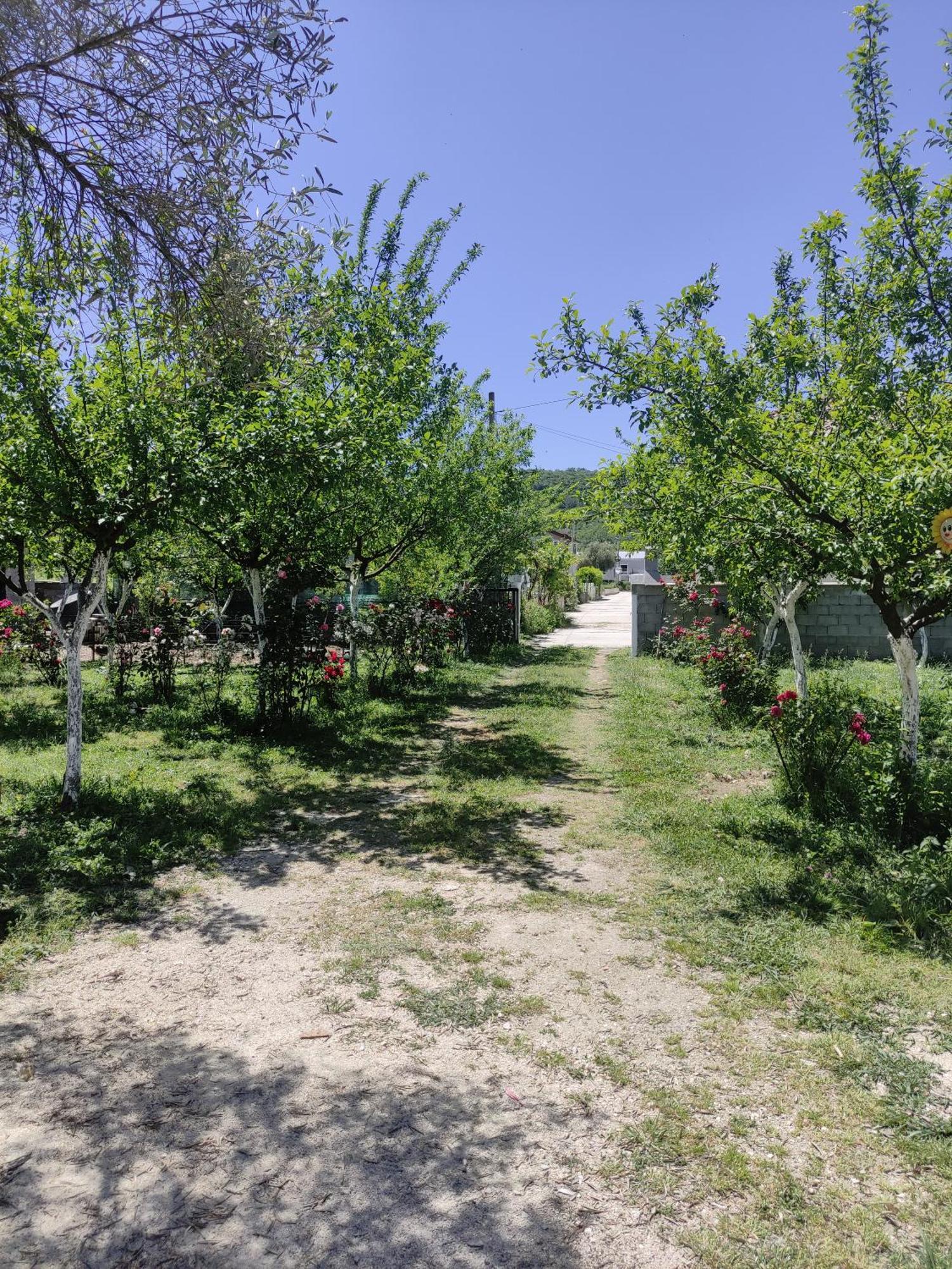 Green Valley Kotor Exterior photo